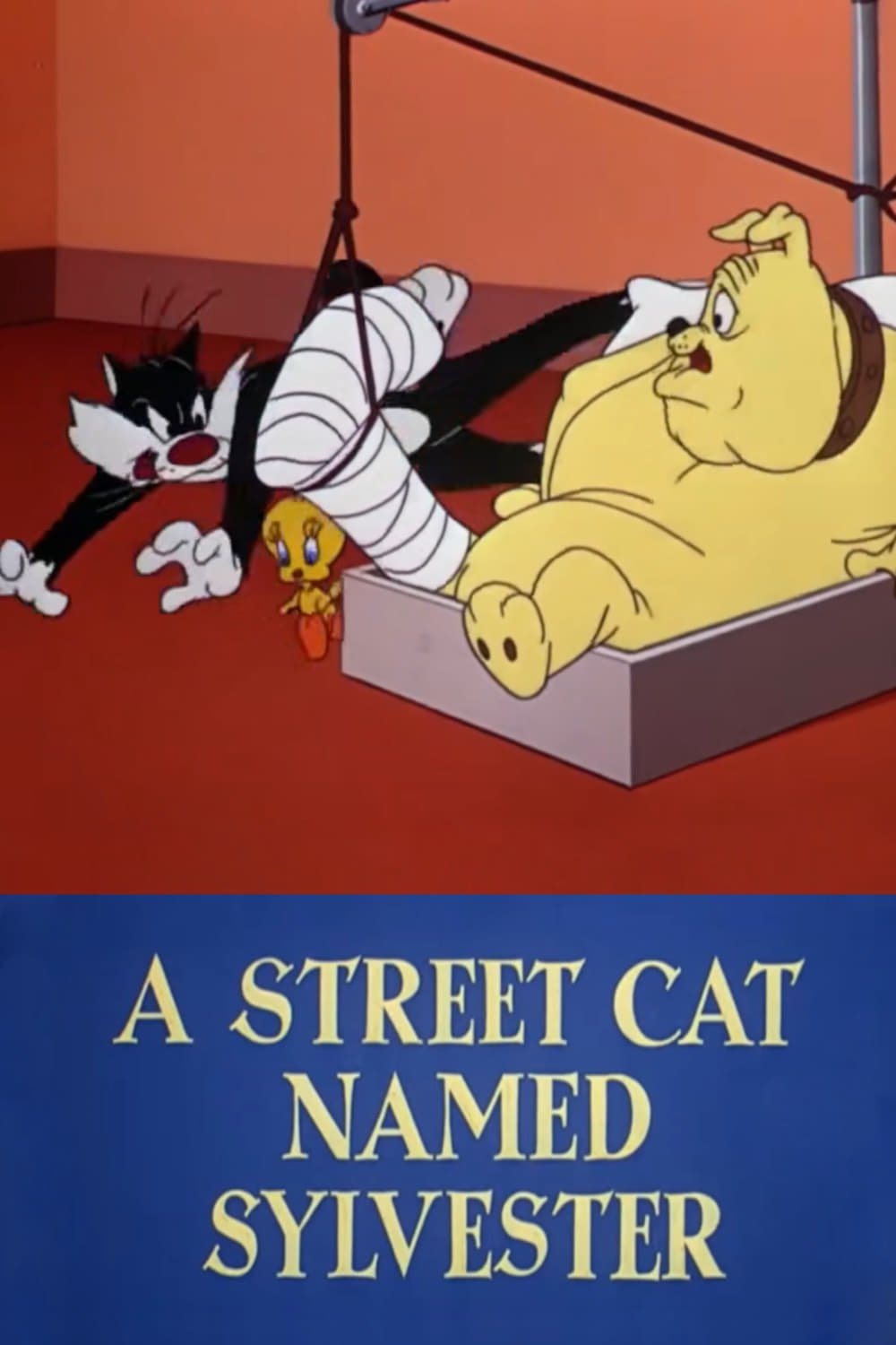 A Street Cat Named Sylvester (1953)