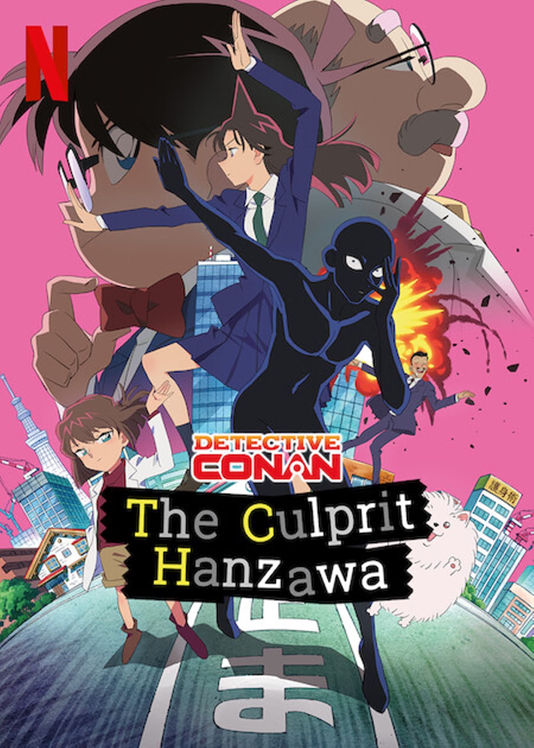 Case Closed: The Culprit Hanzawa