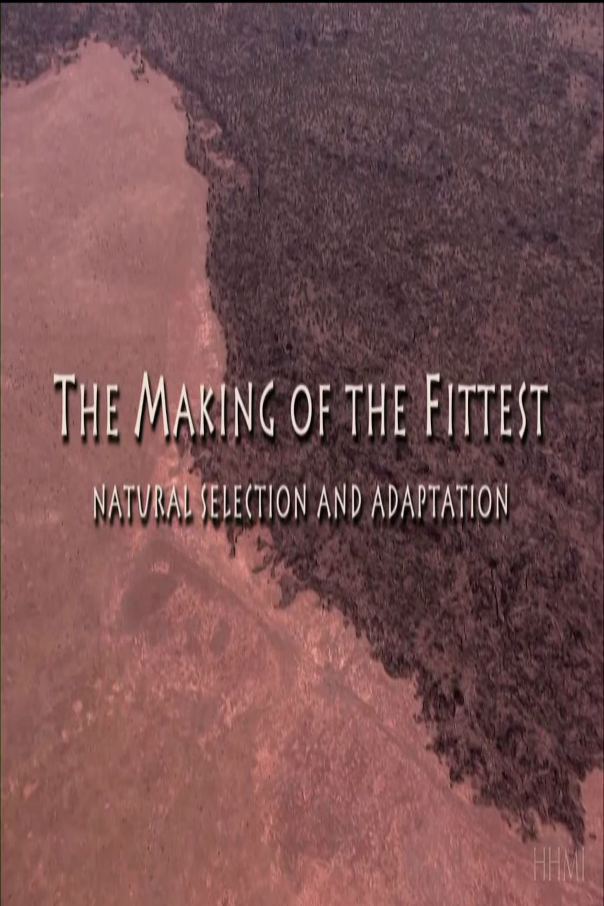 The Making of the Fittest: Natural Selection and Adaptation