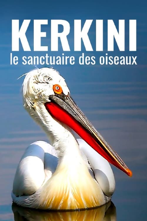 Kerkini: The Bird Sanctuary