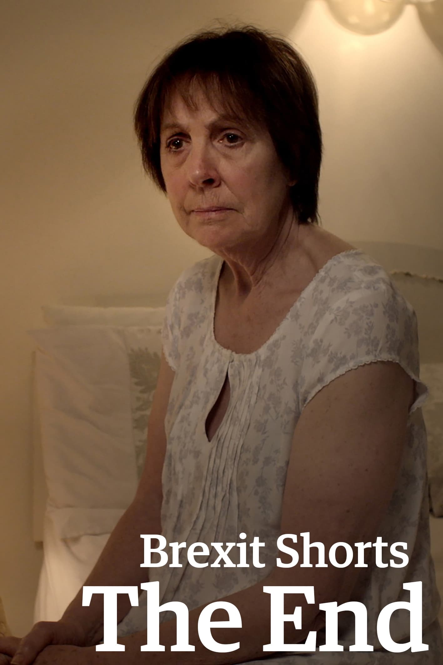 Brexit Shorts: The End