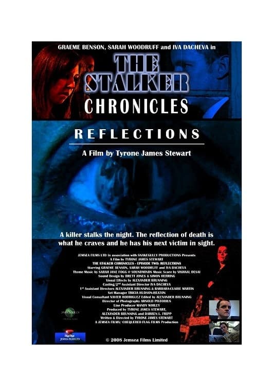 The Stalker Chronicles: Episode Two - Reflections