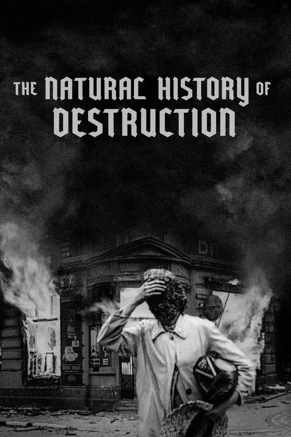 The Natural History of Destruction