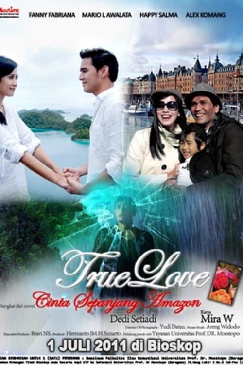 True Love (2011)