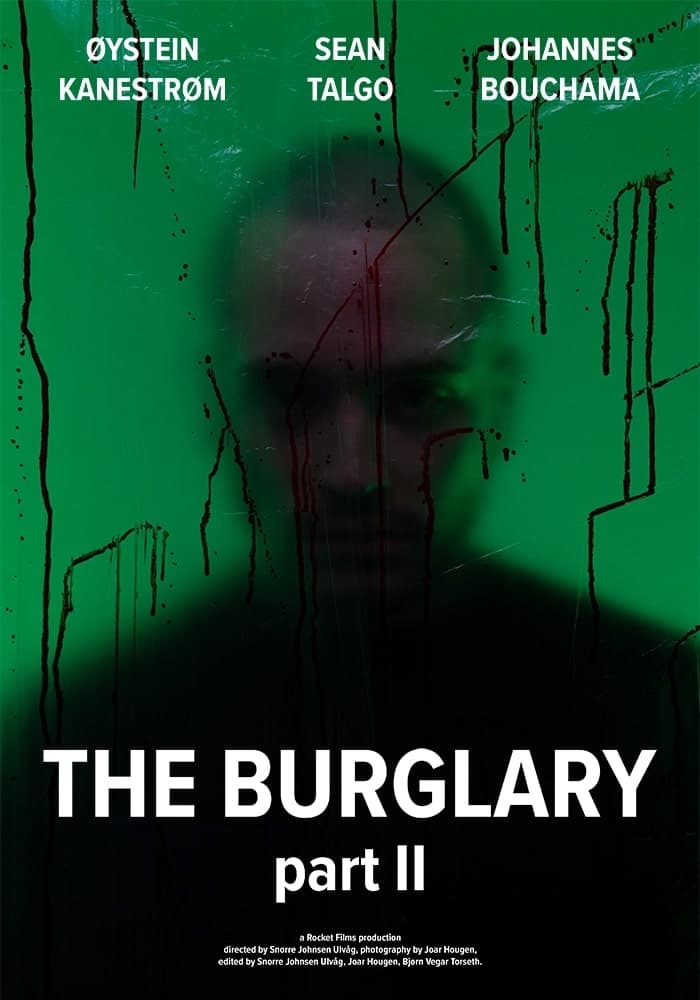 The Burglary part II