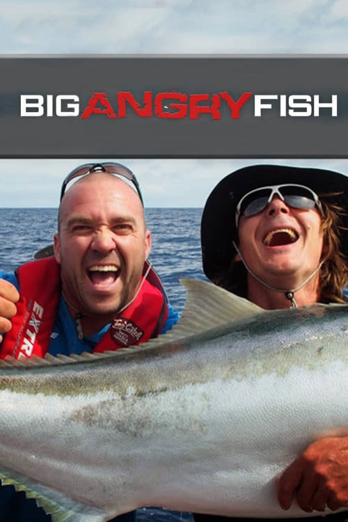 Big Angry Fish