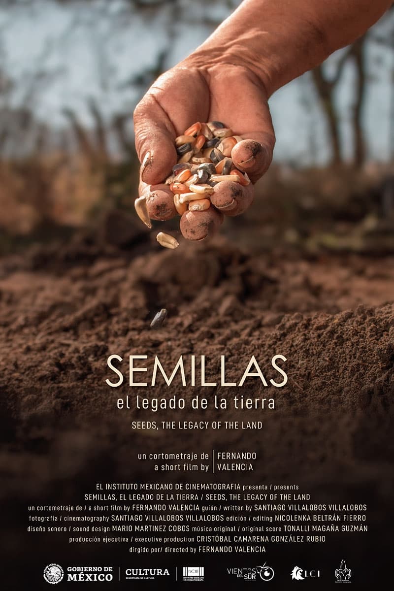 Seeds, the legacy of the land