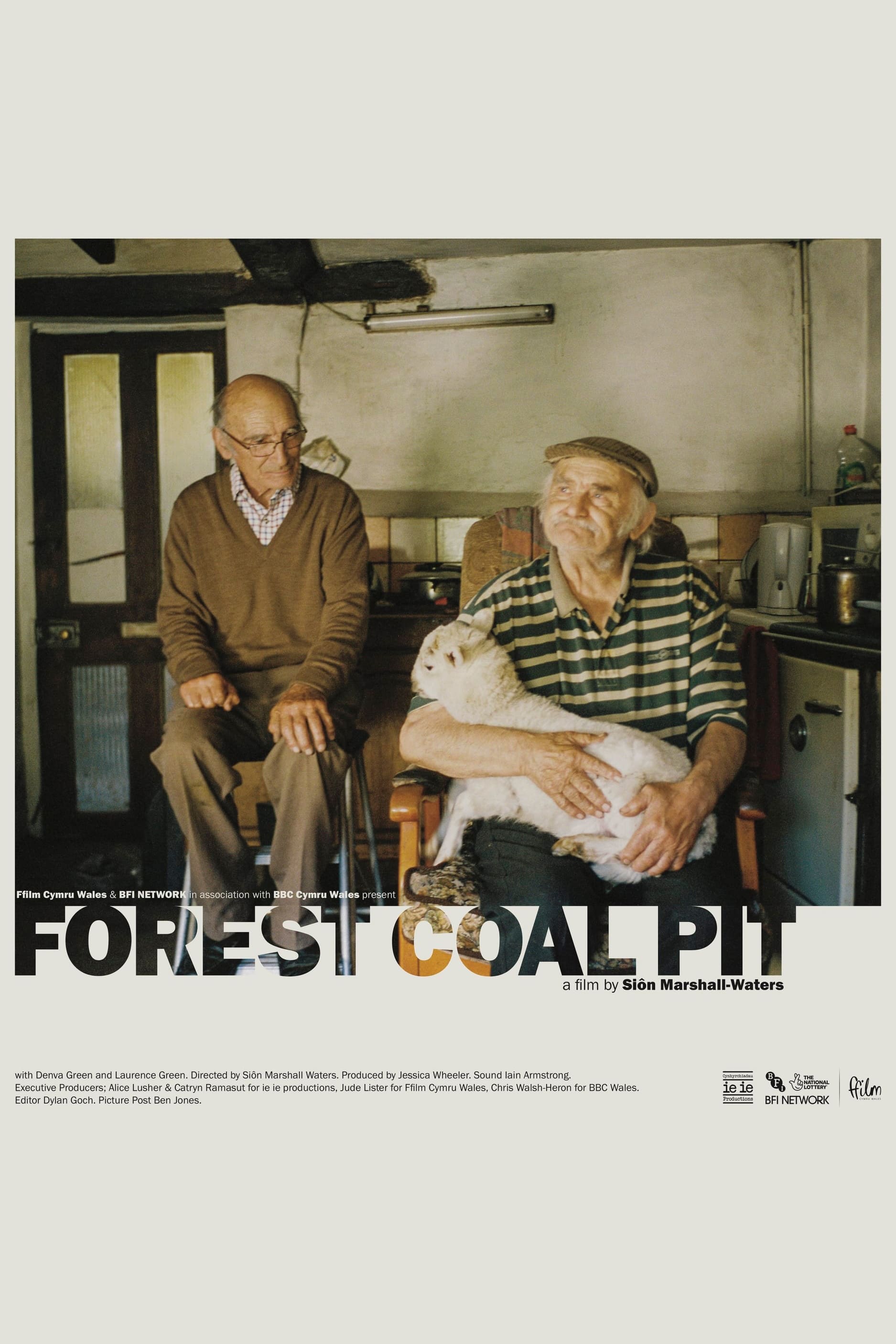 Forest Coal Pit