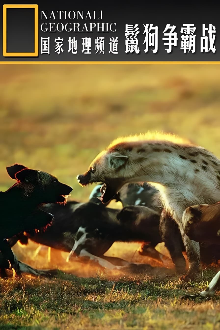 Hyena: Bone Crushing Queens