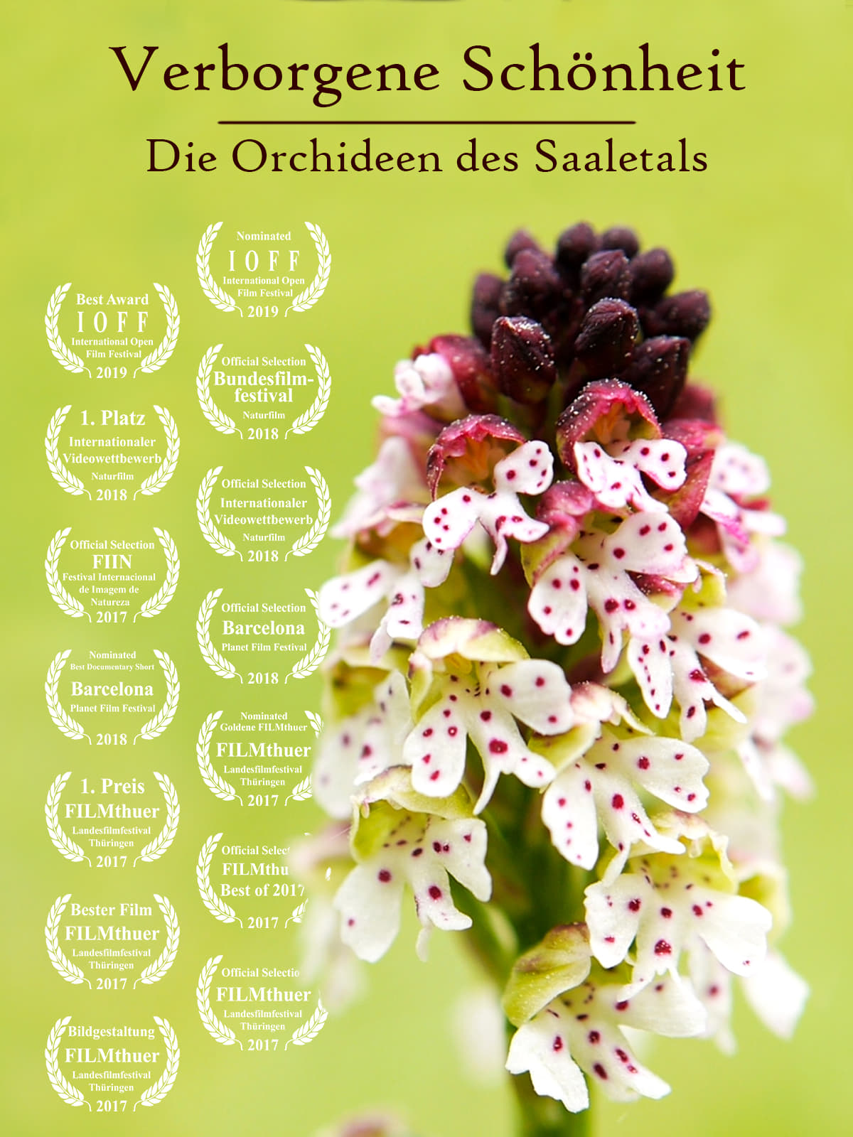Hidden Beauty - The Orchids of the Saale Valley