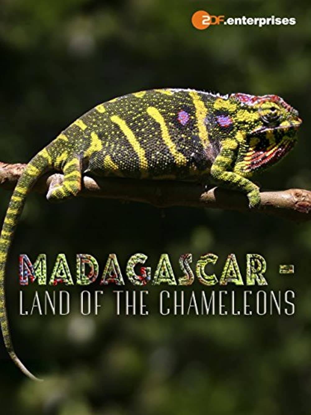 Madagascar: Land of the Chameleons