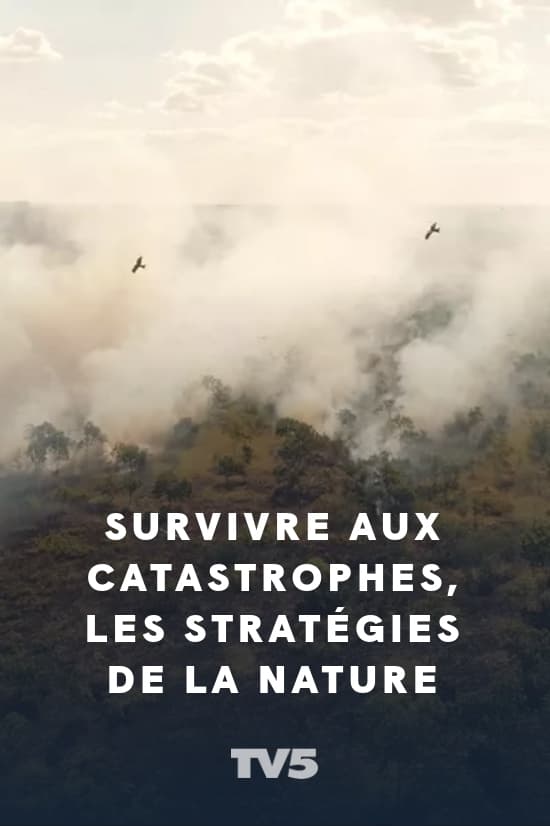 Survivre aux catastrophes, les stratégies de la nature