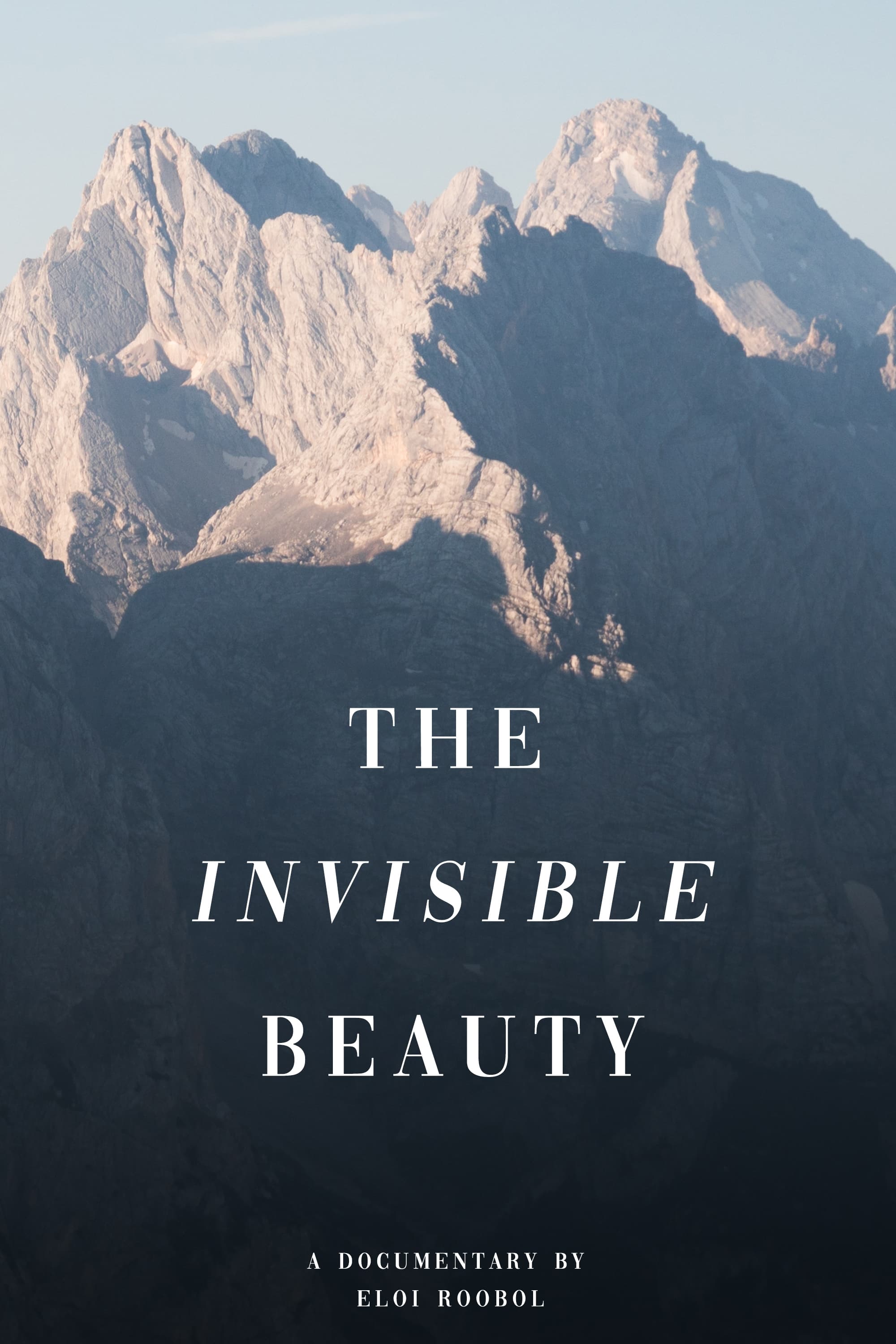 The Invisible Beauty