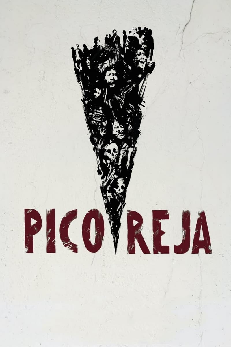 Pico Reja: The Truth Buried Beneath