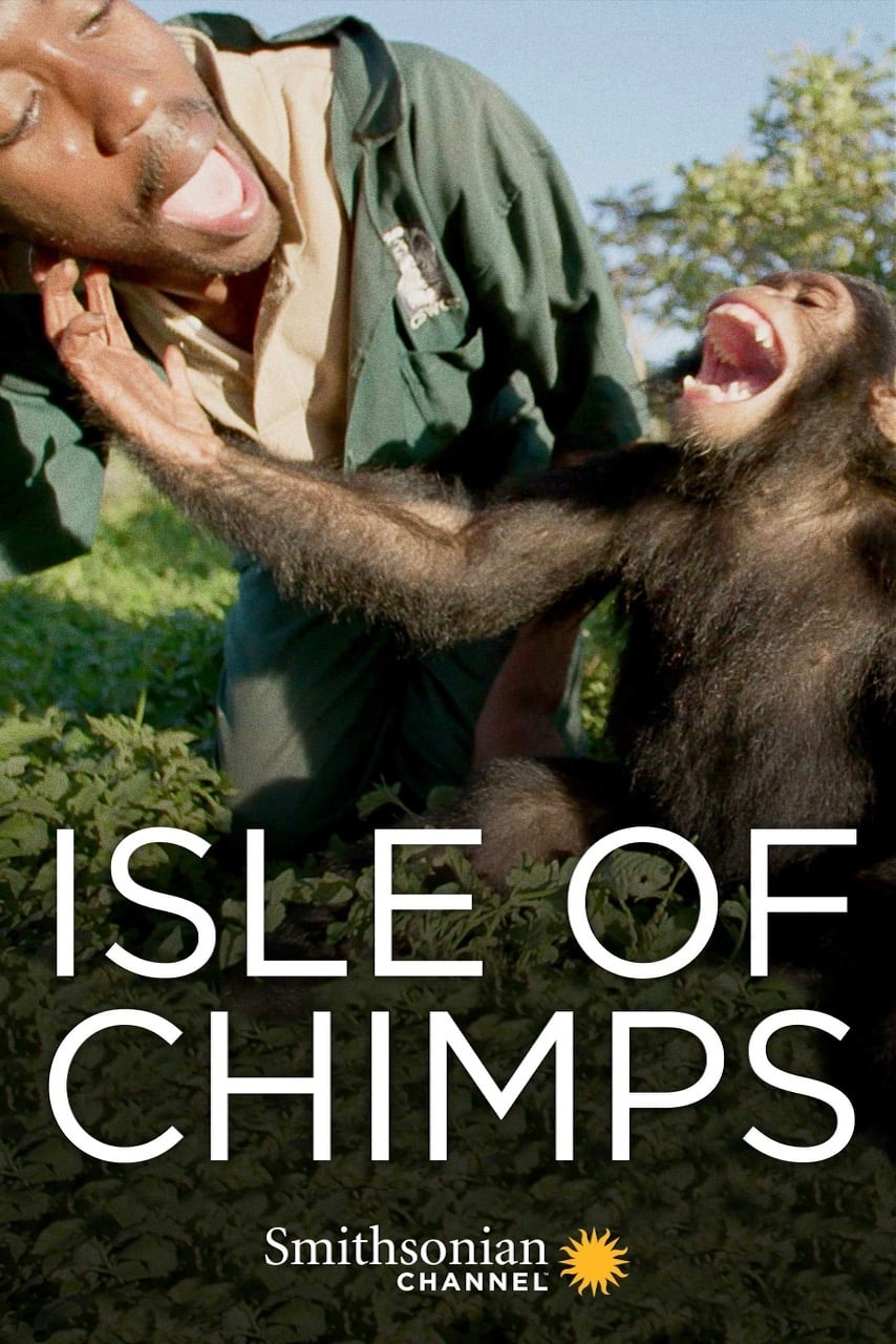 Isle of Chimps