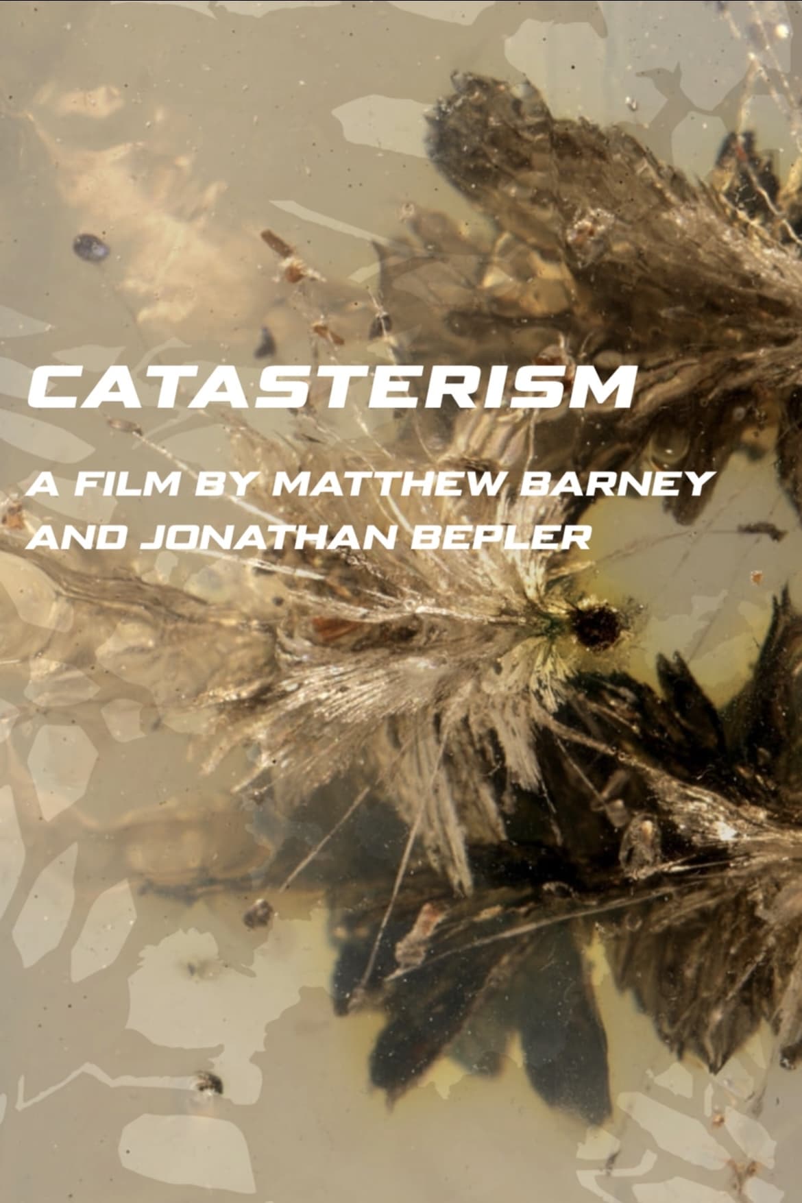 Catasterism