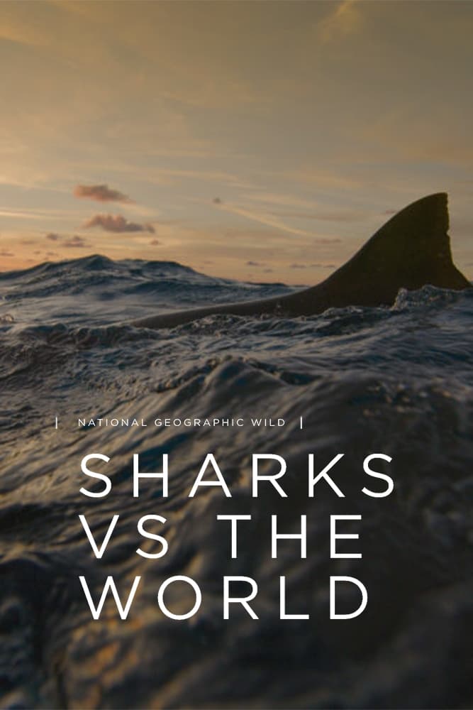 Sharks vs. the World