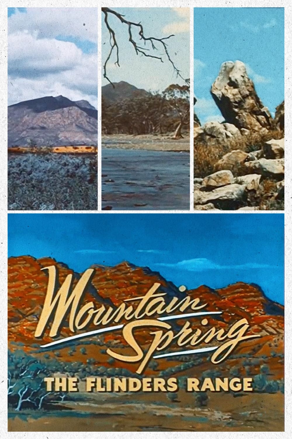 Mountain Spring: The Flinders Range