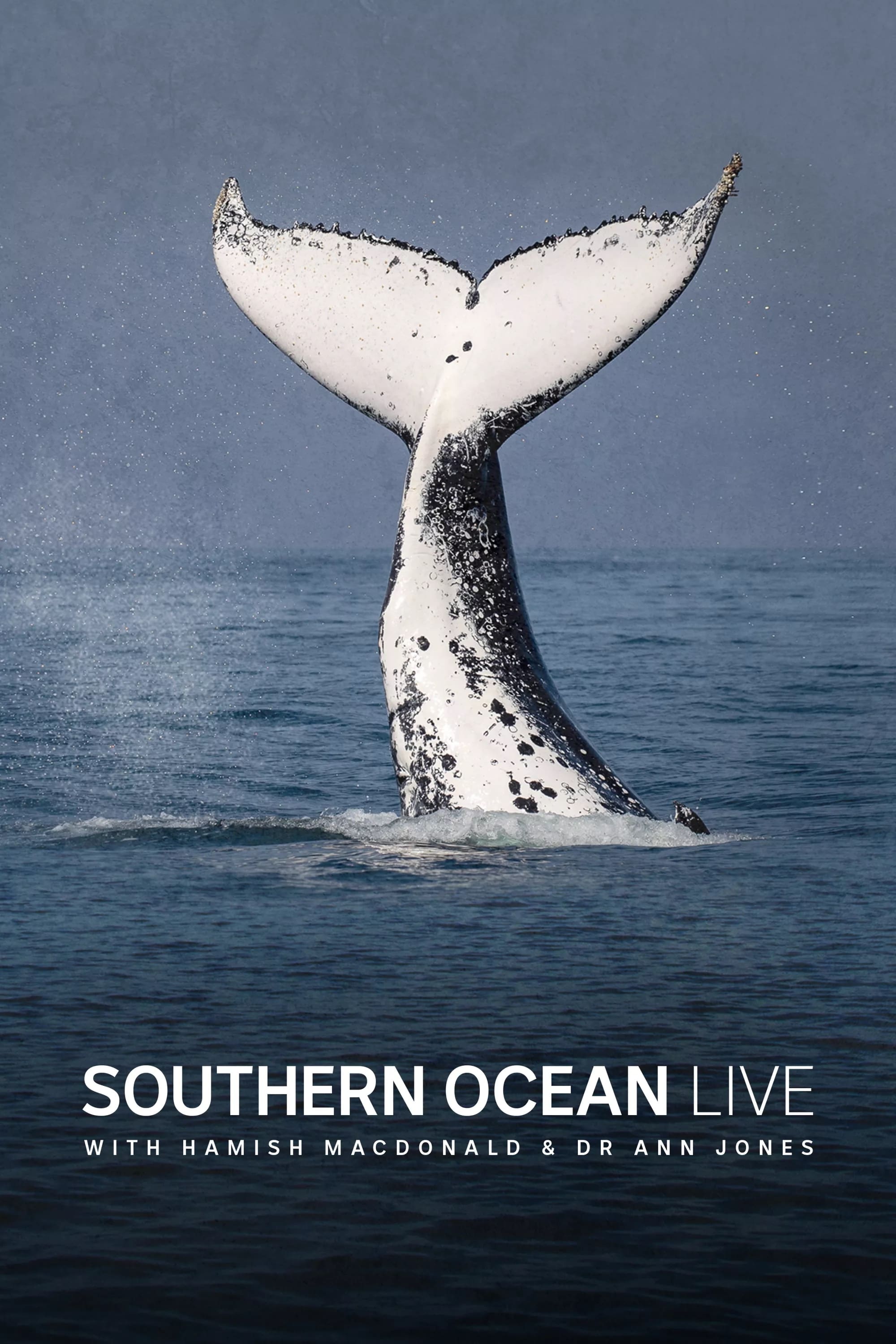 Southern Ocean Live