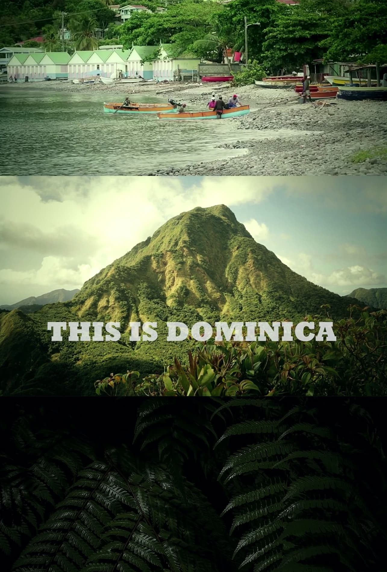 This Is Dominica
