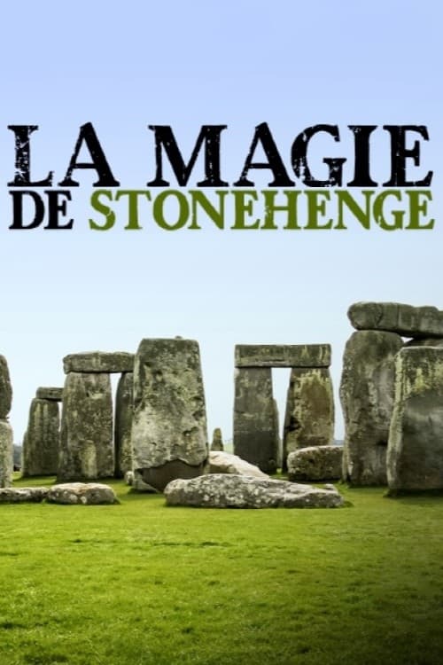 The Stonehenge Enigma