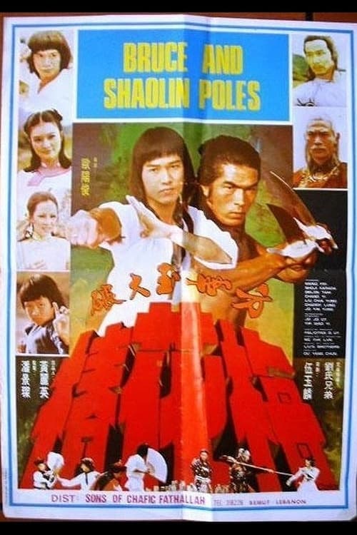 Secret of the Shaolin Poles (1977)