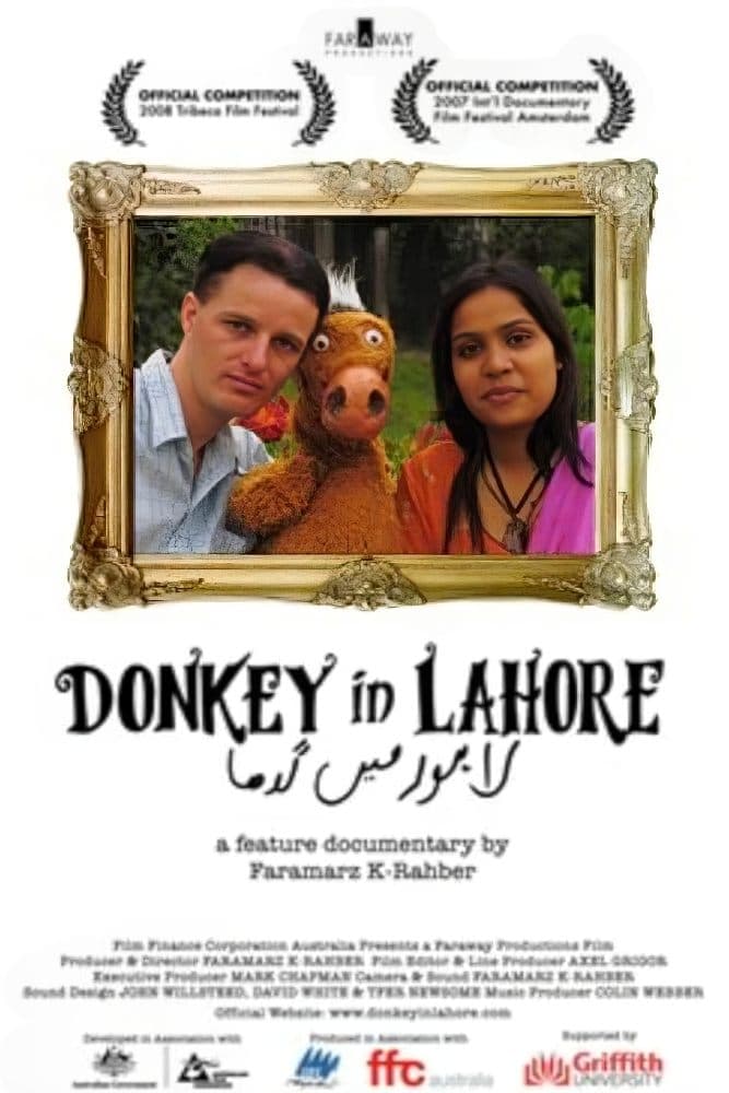 Donkey in Lahore
