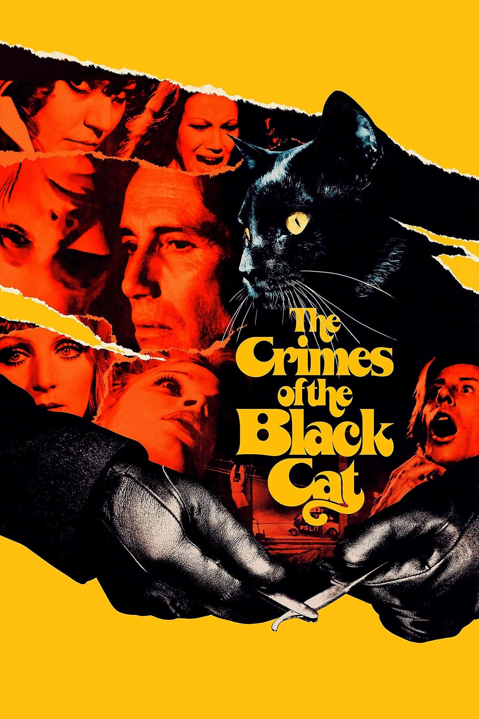 The Crimes of the Black Cat (1972)