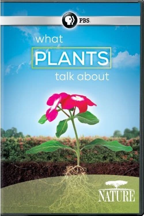 PBS NATURE: What Plants Talk About