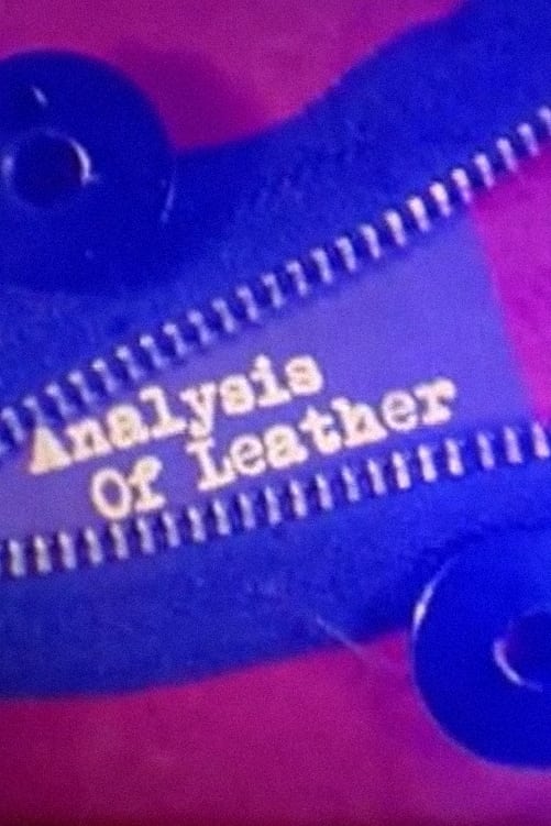 Analysis of Leather