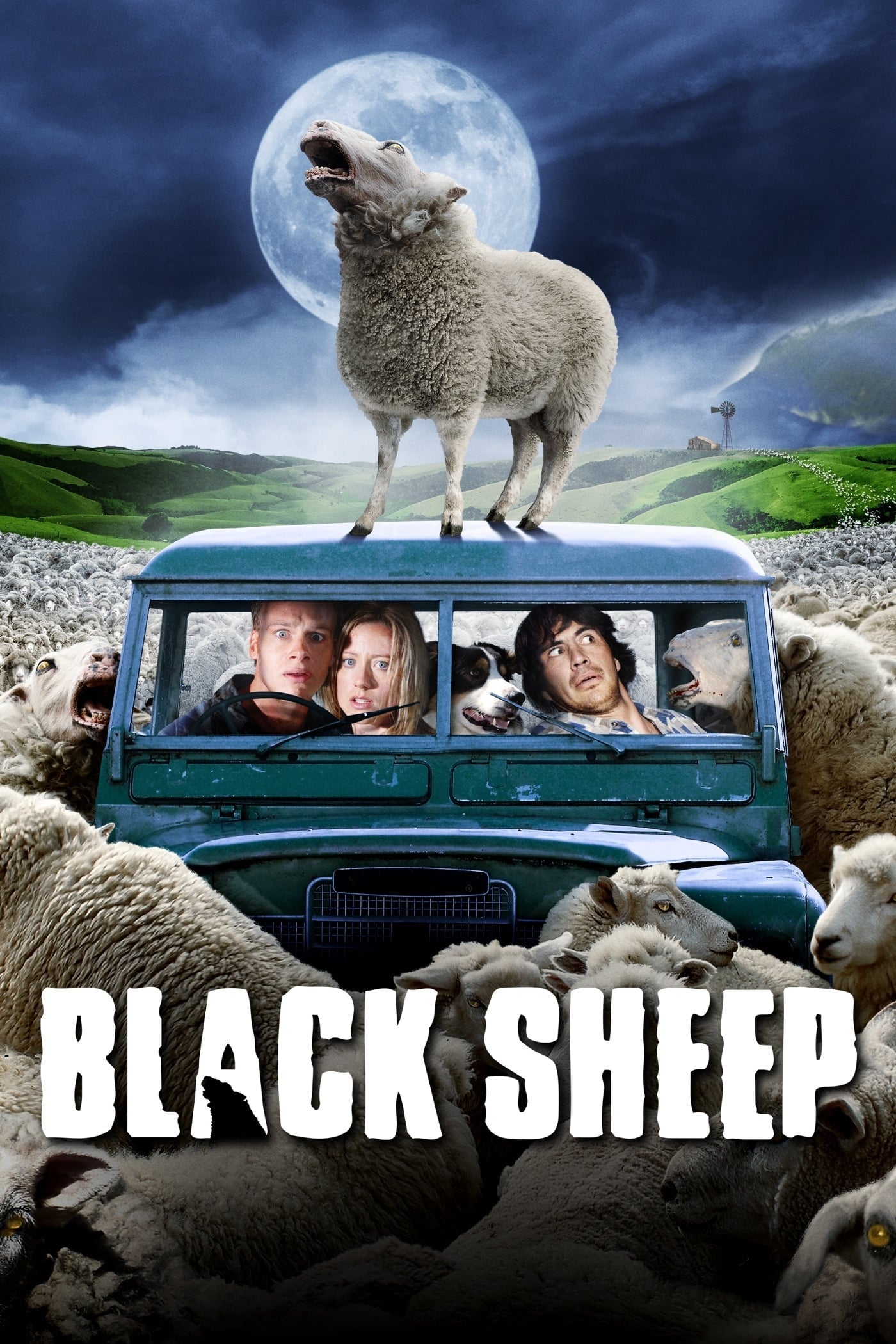 Black Sheep