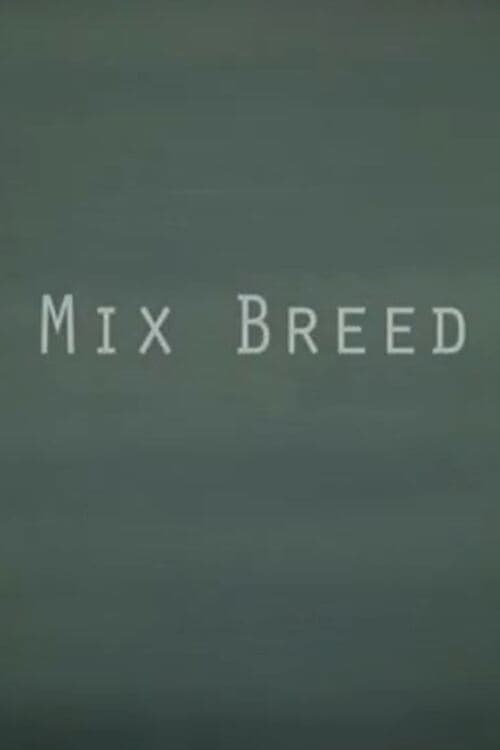 Mix Breed