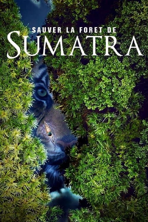 Save the Sumatran Forest