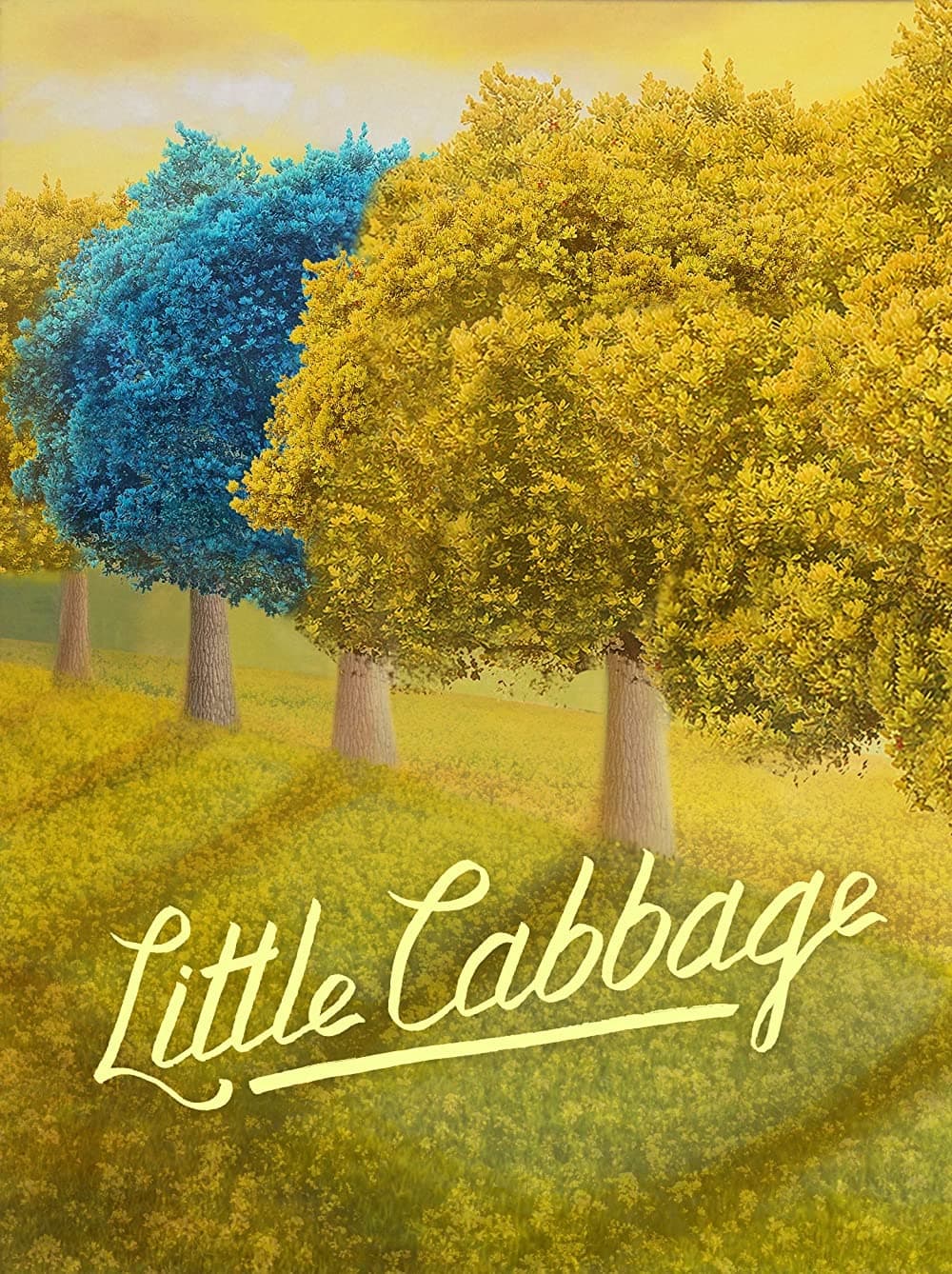 Little Cabbage
