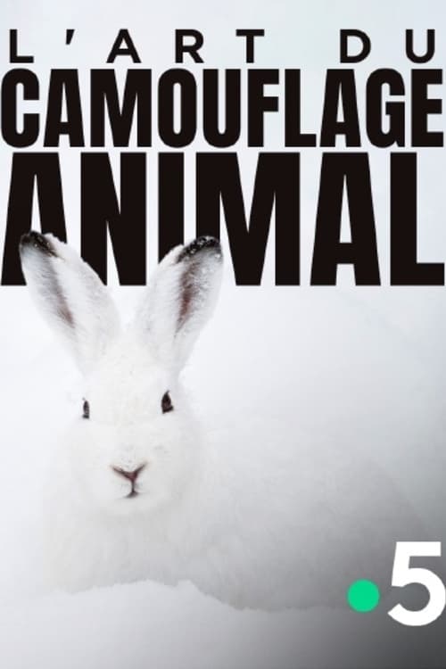 L'art du camouflage animal