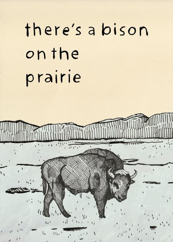 There's a Bison on The Prairie