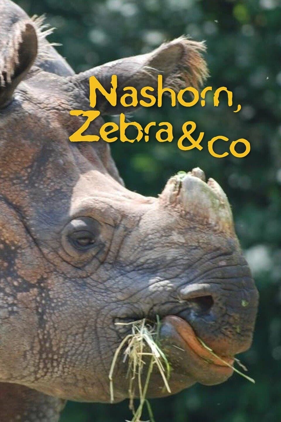 Nashorn, Zebra & Co.