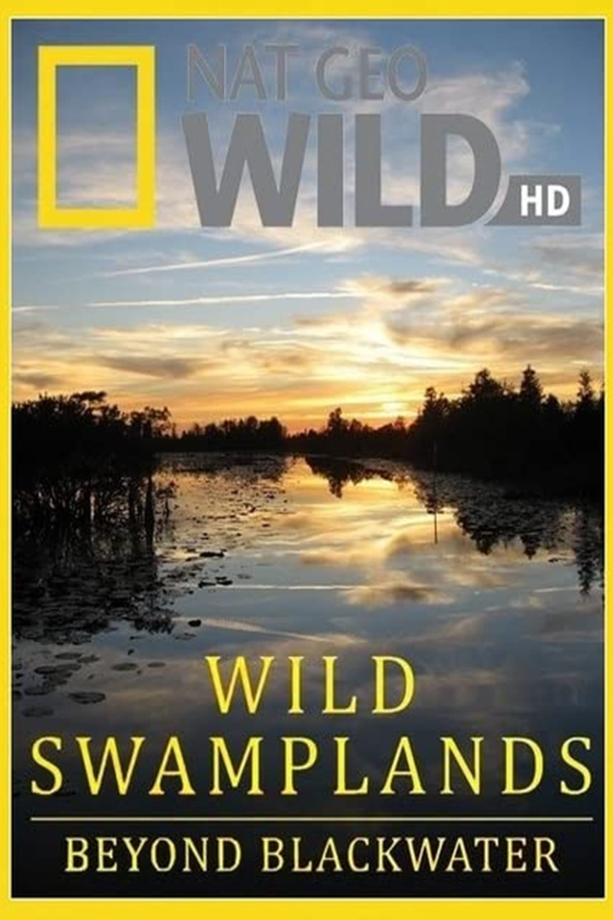 Wild Swamplands