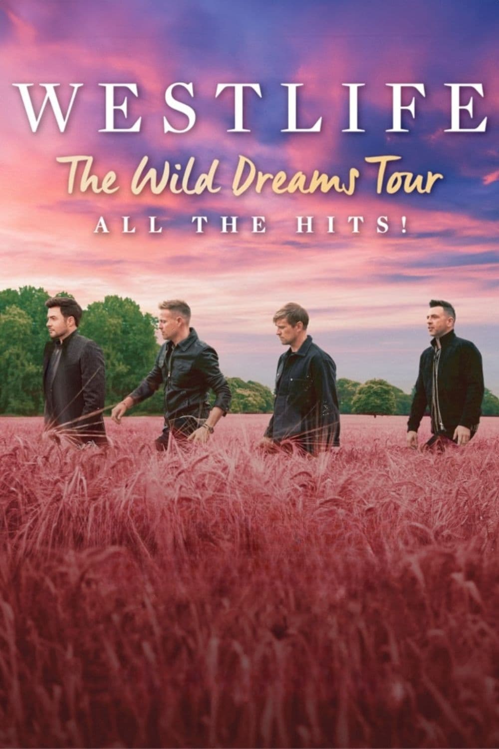 Westlife: The Wild Dreams Tour (Live at Wembley Stadium)