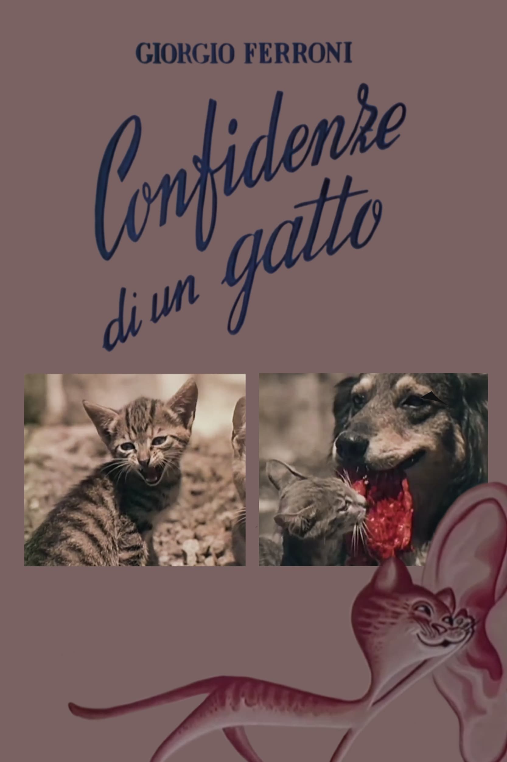 Confidences of a cat