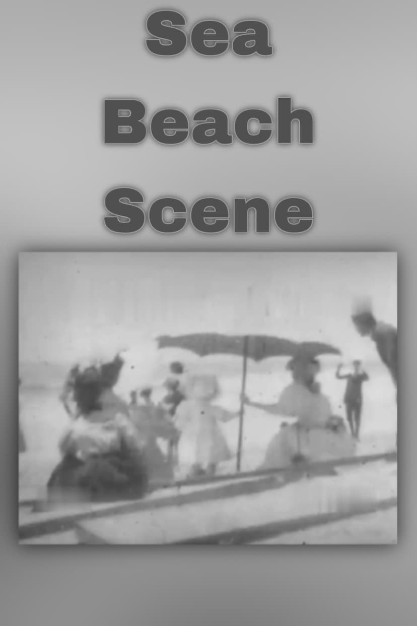 Sea Beach Scene