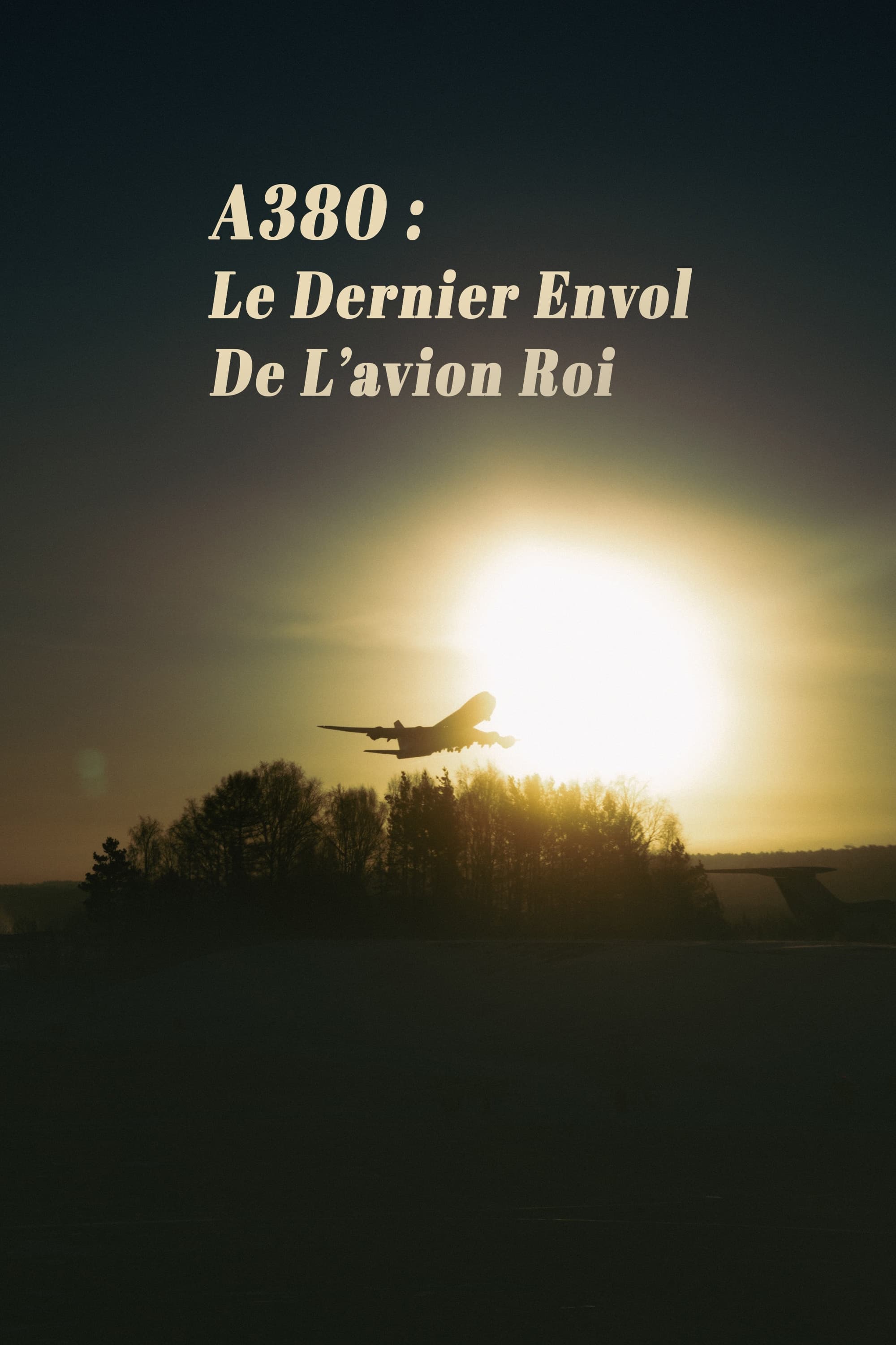 A380 : Le Dernier Envol de lavion roi