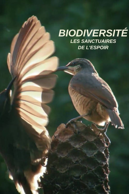 Biodiversité : les sanctuaires de l'espoir