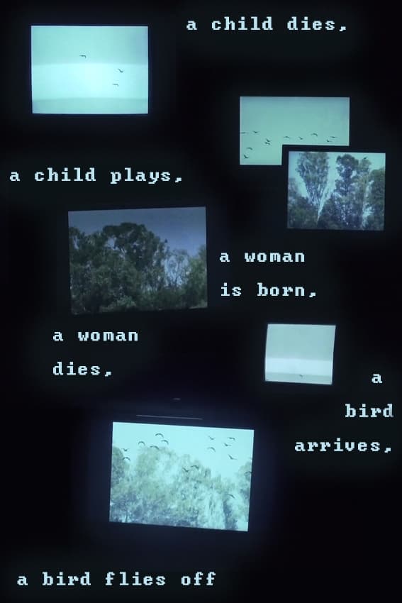 A child dies, a child plays, a woman is born, a woman dies, a bird arrives, a bird flies off