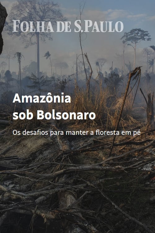 Amazon Under Bolsonaro