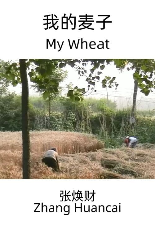 My Wheat
