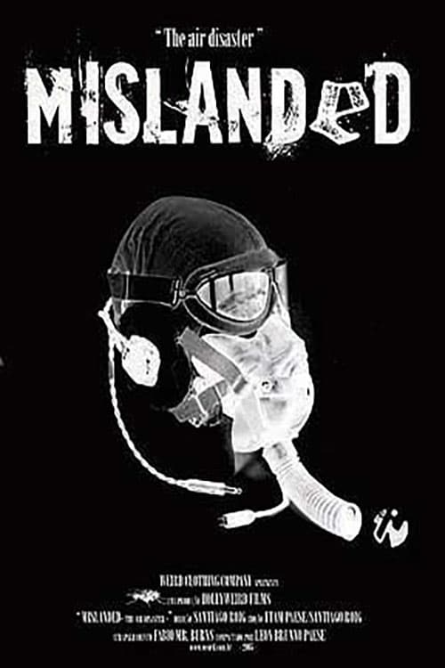 Mislanded: The Air Disaster