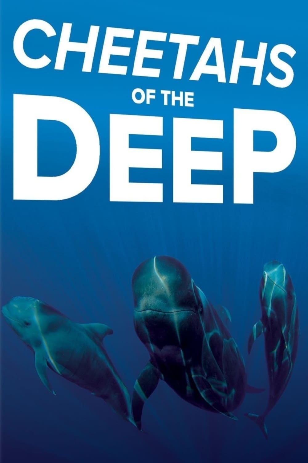 Cheetahs of the Deep