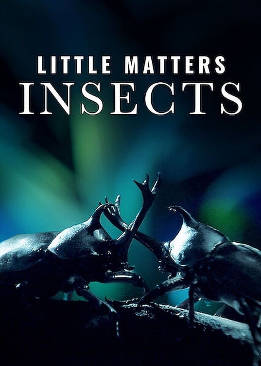 Little Matters: Insects