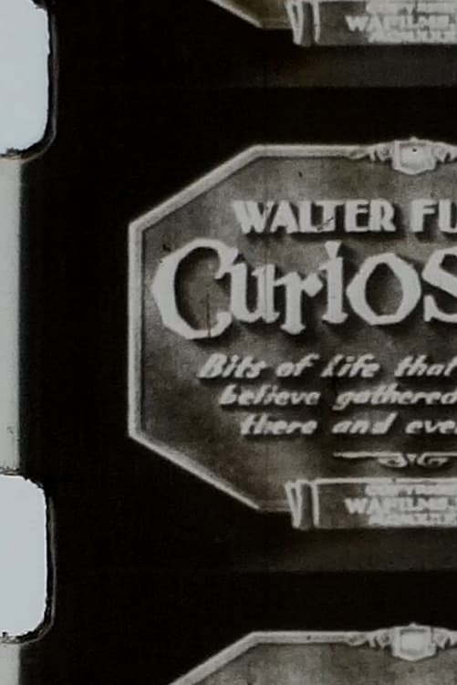 Walter Futter's Curiosities